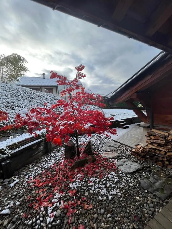 Chalet Mathilde - Morzine Villa Montriond
